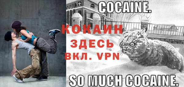 гидра Саяногорск