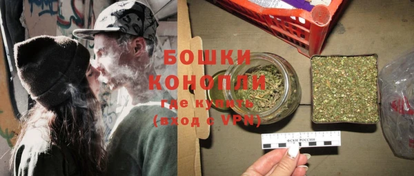 гидра Саяногорск