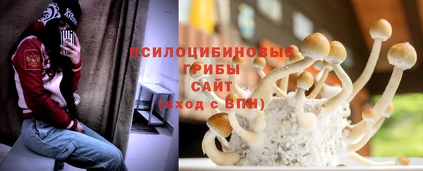 мет Абаза