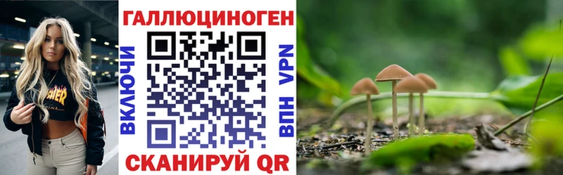 Псилоцибиновые грибы Magic Shrooms  где продают   Касимов 