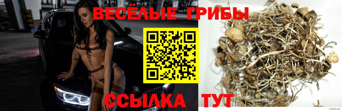 Касимов  Псилоцибиновые грибы ЛСД  Вход с VPN 